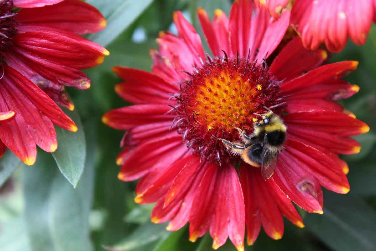 Image for the Lunch Club page